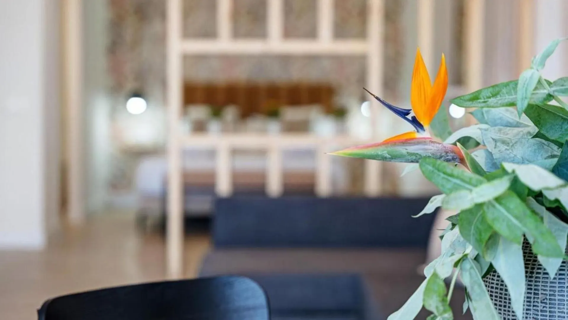 Loft The Pa By Paramount Holidays Costa Adeje  Apartment Costa Adeje (Tenerife)